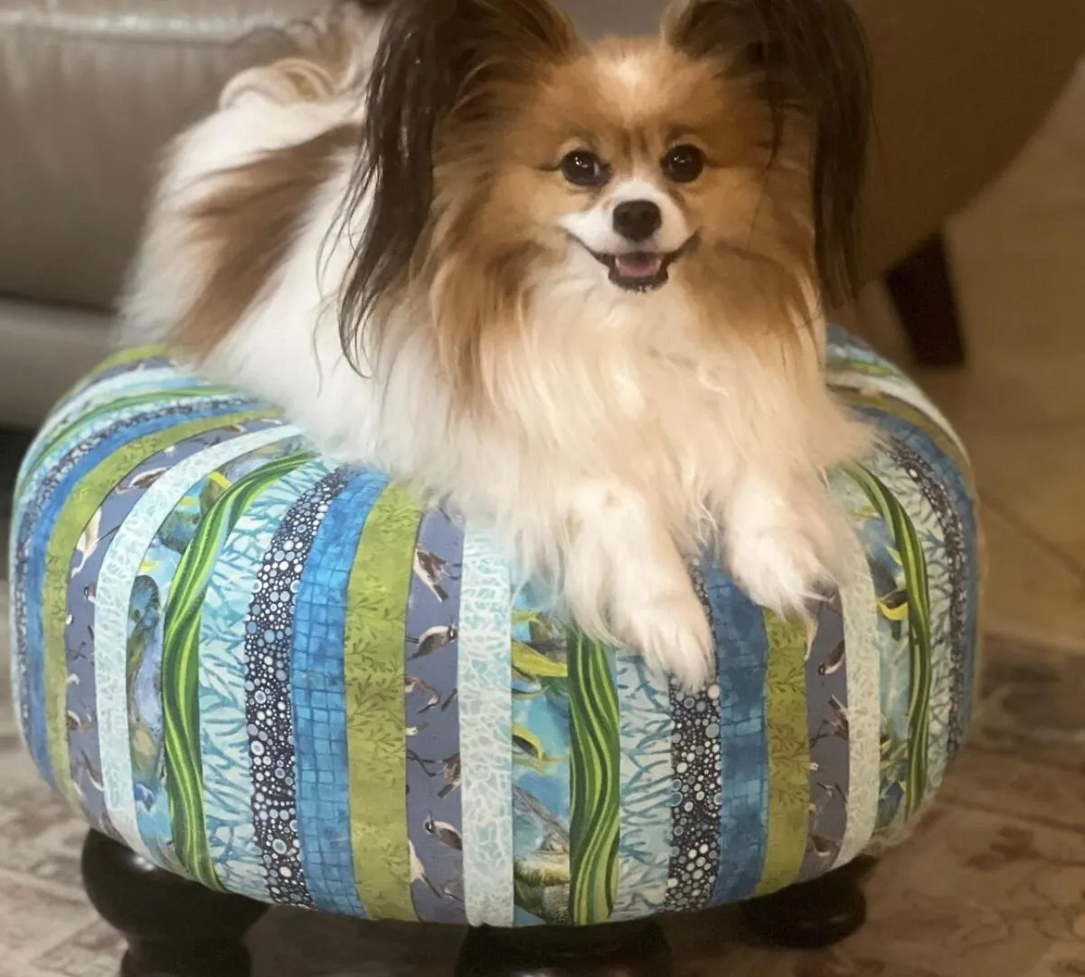 Pet Friendly Gulf Front Oasis With Beach Service Destin
